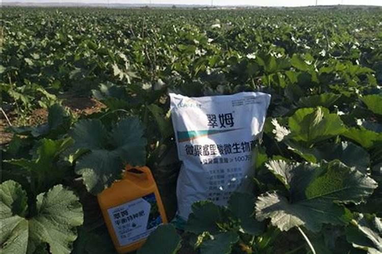 安踏氢科技和氮科技哪个好