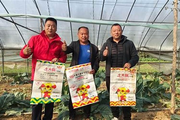 尿素和氮肥有什么区别