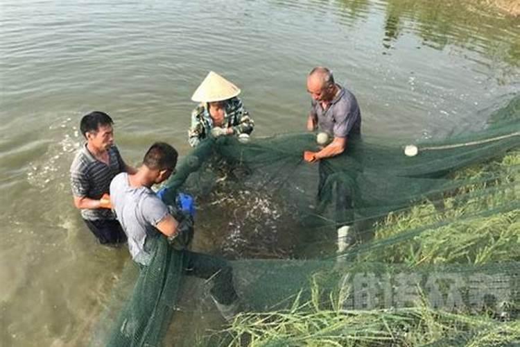 中性氨基酸水溶液为何呈酸性？他们的pI值大概在什么范围？它们的间性离 ...