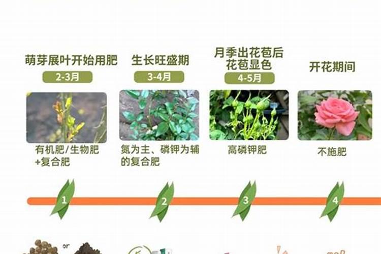 100斤麦种用多少芸苔素拌种 芸苔素如何使用