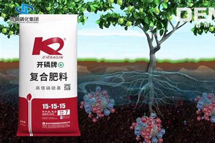 磷肥浇花的正确方法