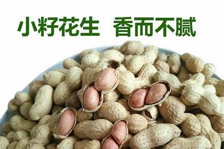 花生米能当花肥用吗