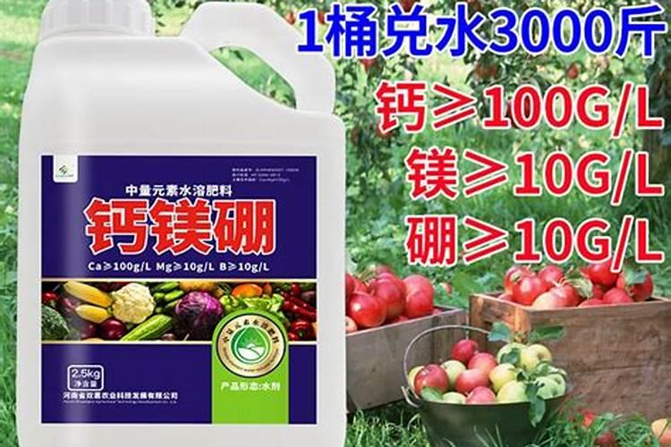 苦瓜施什么肥最好