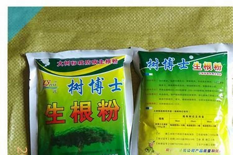 生根粉直接撒土里浇水行吗生根粉是肥料吗