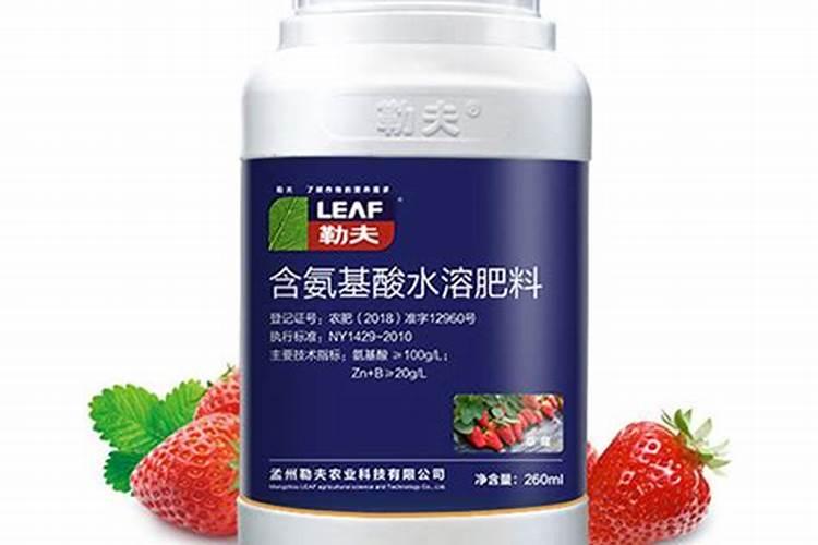 早稻米是什么米