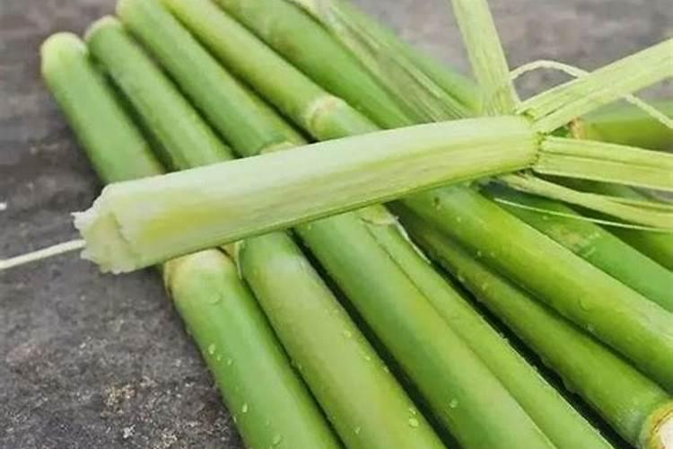 红薯底肥最佳配方