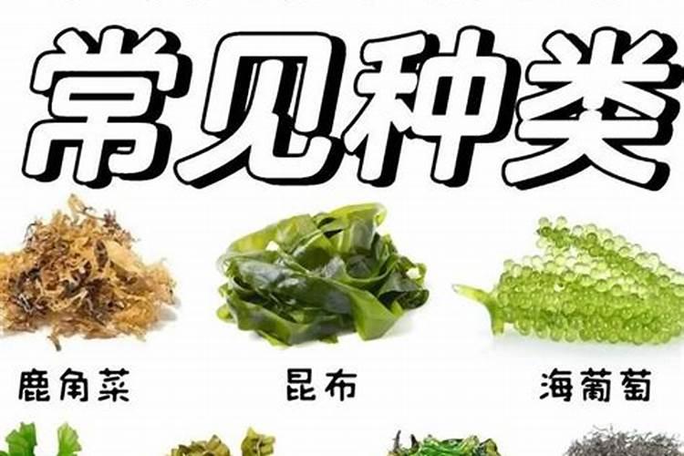 大蒜叶子有黄斑怎么办