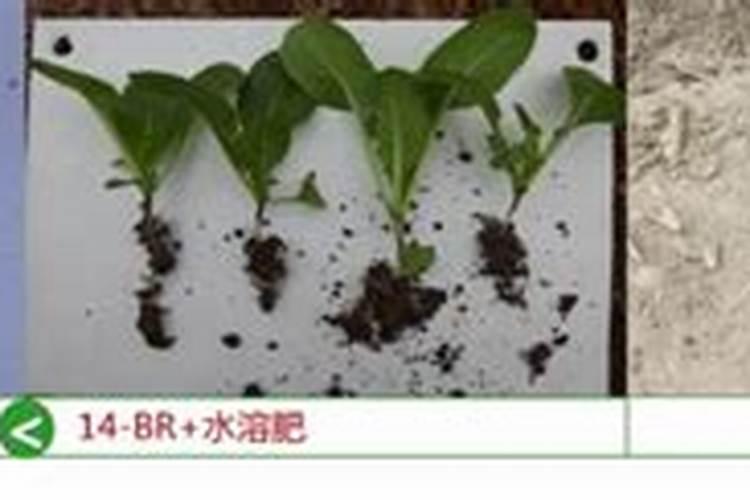 钾肥有点融化影响效果吗？