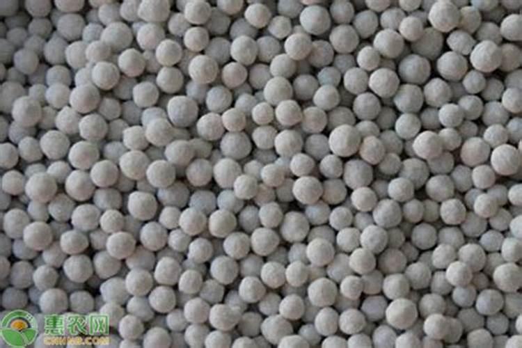 果树什么钾肥好