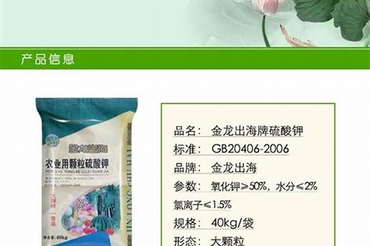 绿萝用什么肥料长得快,含氮的有机肥最利于生长