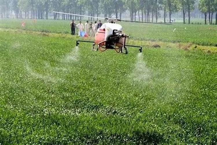 黄腐酸钾和腐殖酸钾有什么区别？