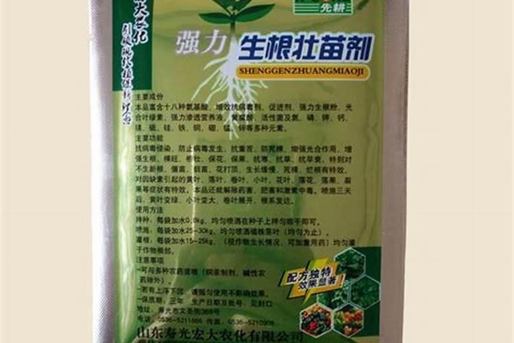葡萄生根肥用什么好