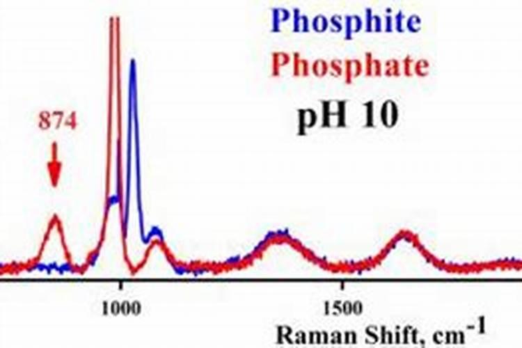 水产降亚硝酸盐最快的方法