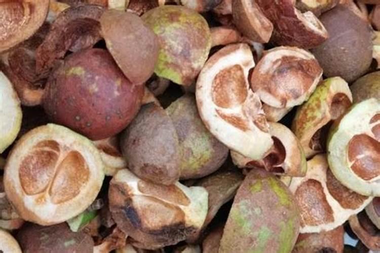 上海星可高纯溶剂有限公司怎么样