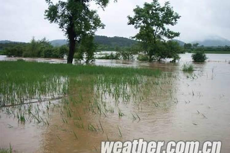 如何鉴别矿源黄腐酸钾真假？