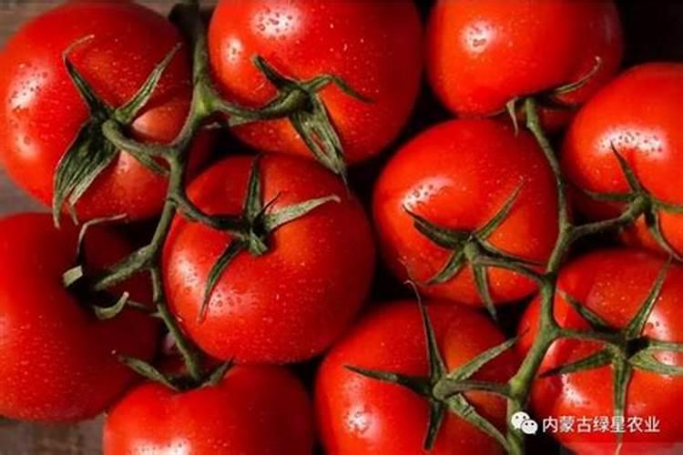 温室大棚钙肥应用注意事项