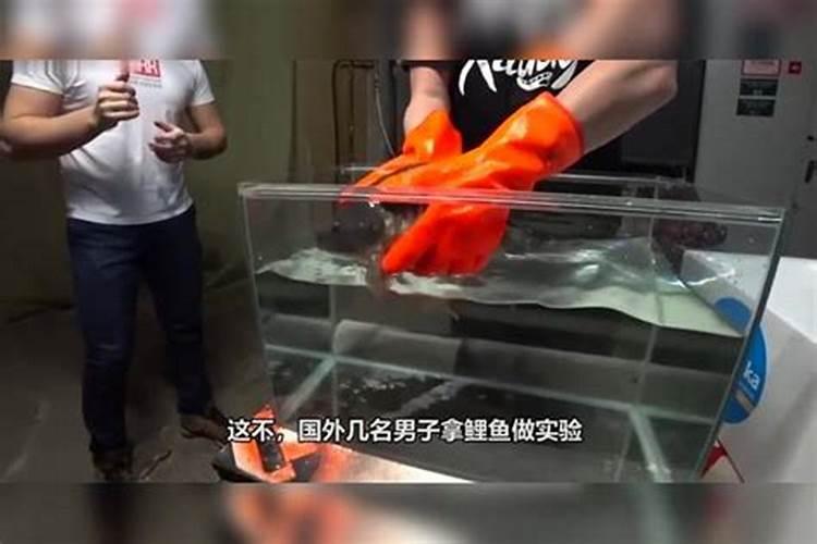 西瓜能直接浇粪水吗