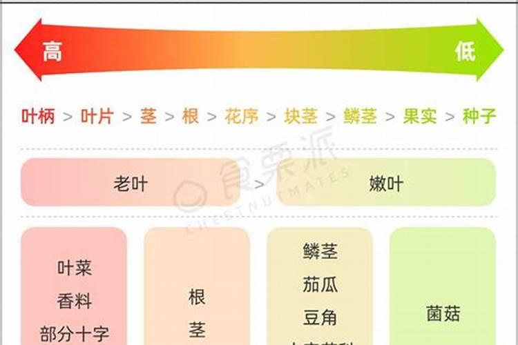 草鱼养殖过程中出现大肚子病的原因分析及解决方案