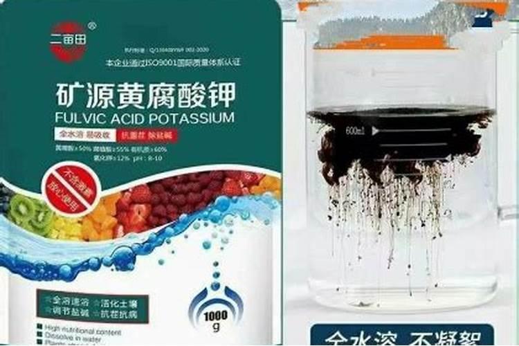 谷子用什么叶面肥增产 选择哪些肥料合适