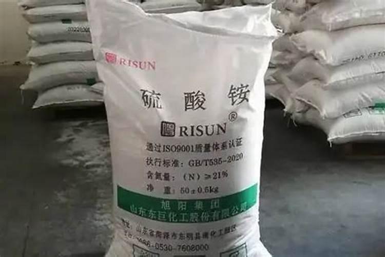 多肉玉蝶难养吗(多肉玉蝶的养护知识)