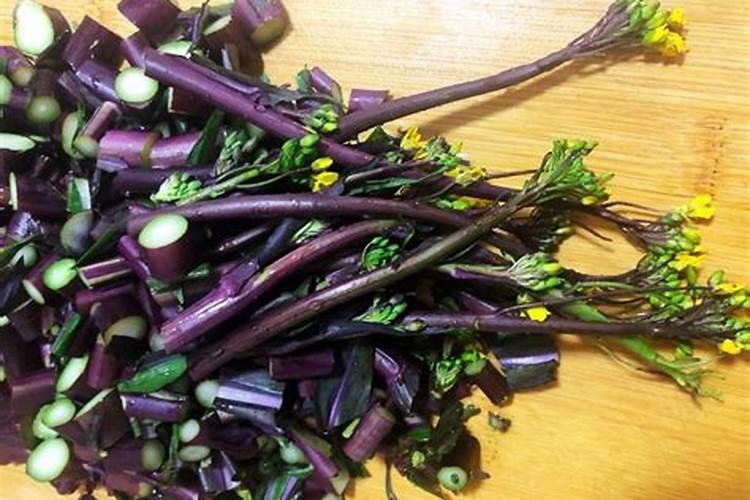 桃树用黄豆做底肥可以吗