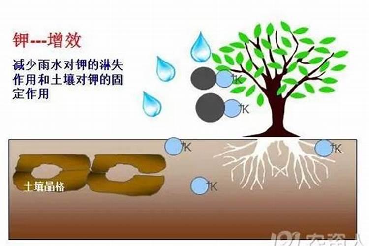 硝酸磷钾肥的缺点与优点