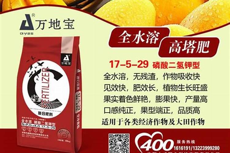 大蒜喷磷酸二氢钾行吗