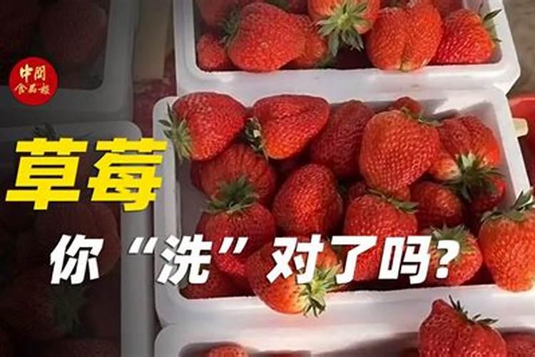 磷肥过多对草莓有影响吗