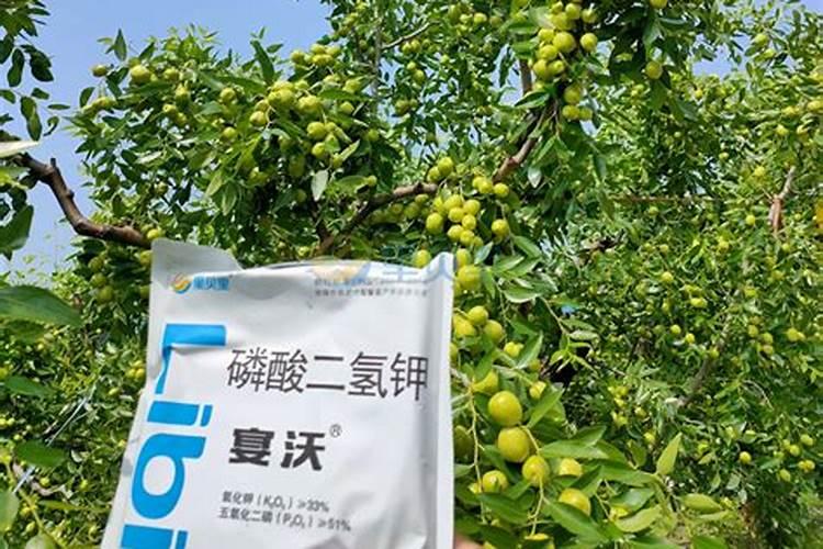 氮肥是什么肥料