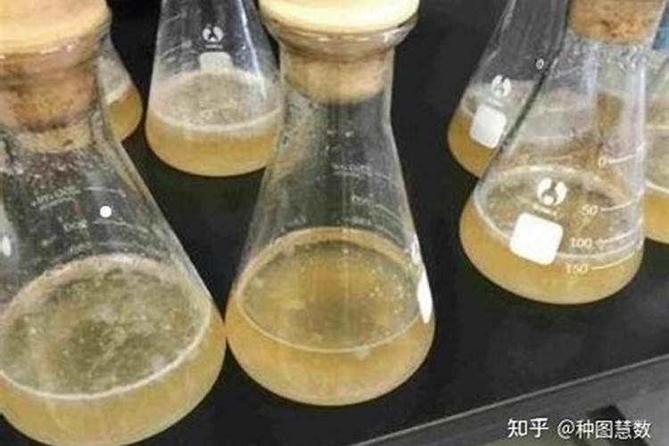 氮磷钾复合肥有什么作用？