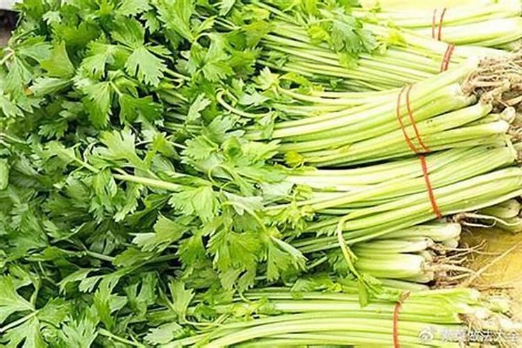 芹菜施什么肥料最好