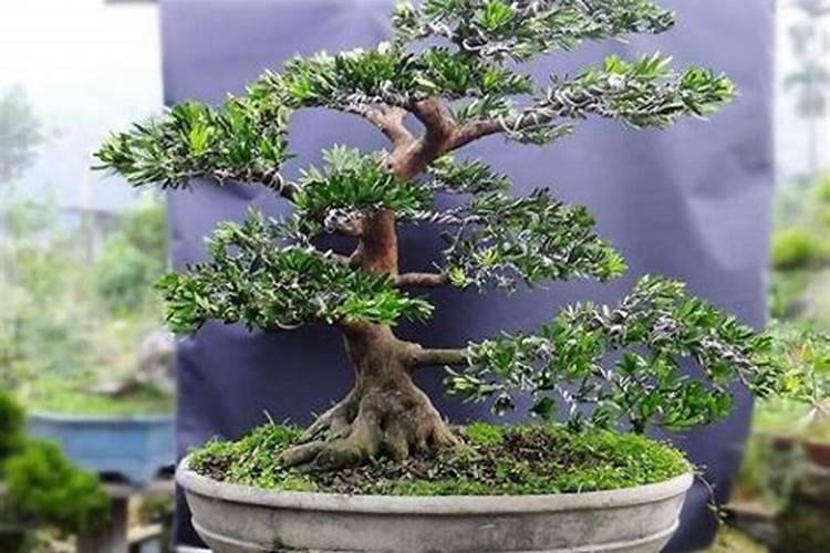 醋酸白试验在家怎么做