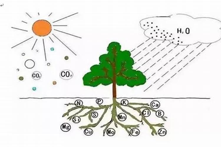 醋酸白试验在家怎么做
