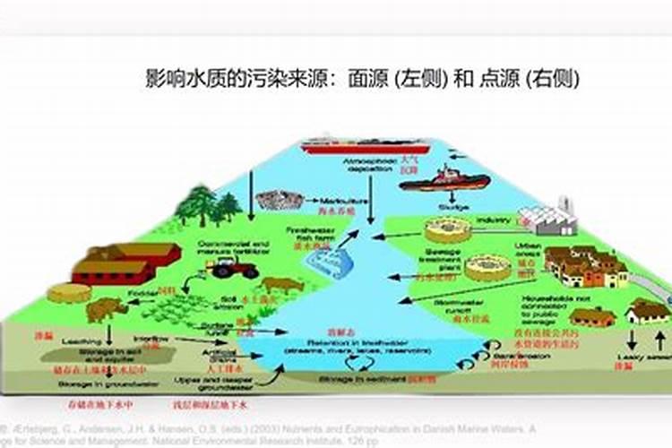 黑坑鲤鱼不开口怎么办