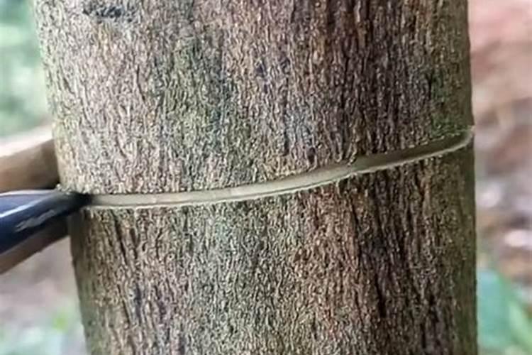 血钾7.0有没有生命危险？