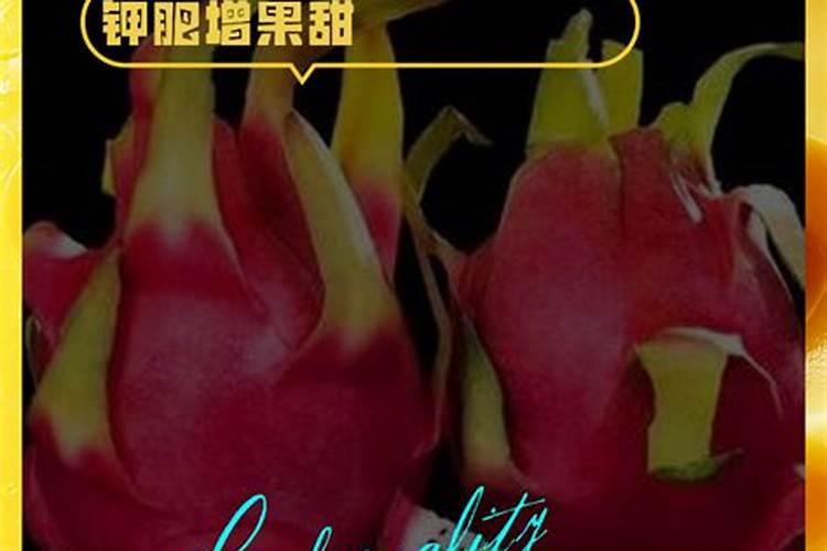 大棚厚皮甜瓜果实膨大期水肥如何管理？