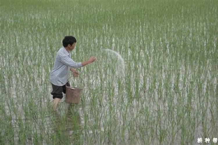 黄腐酸钾可以和鱼蛋白混冲施吗