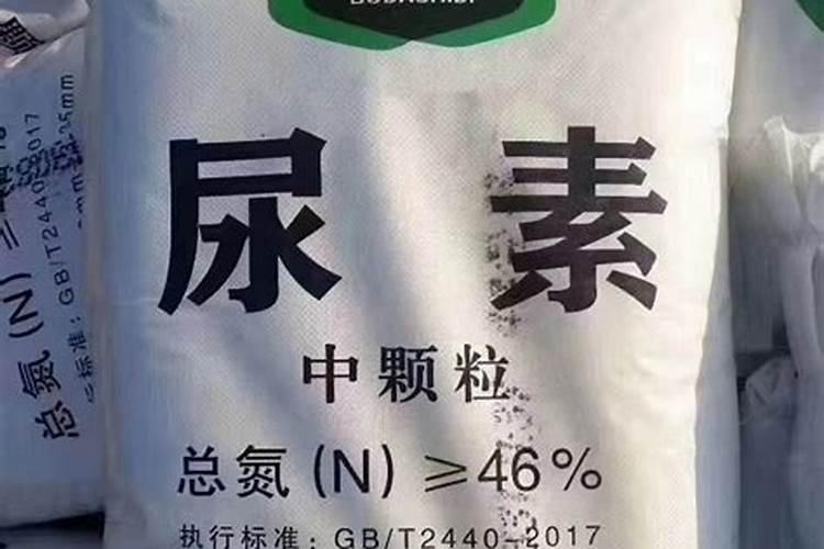 美国四季青施什么肥料