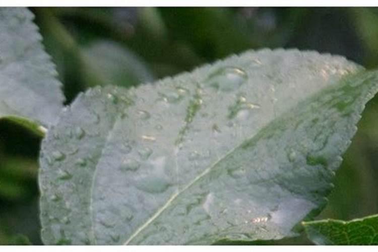 氮肥利用率计算方法