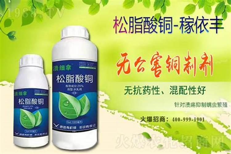 治疗霜霉病用什么药