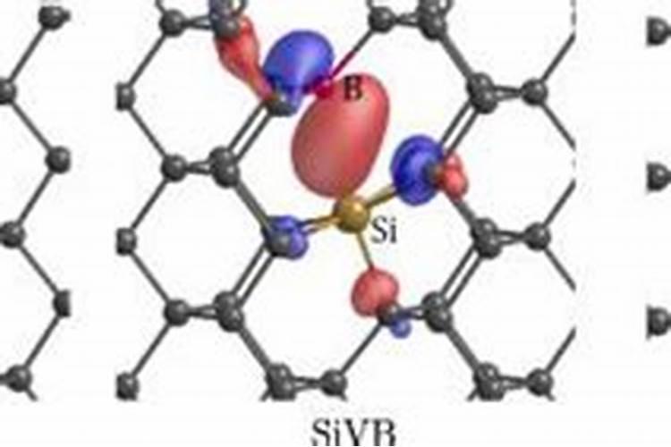 多肉可以施硅肥吗？