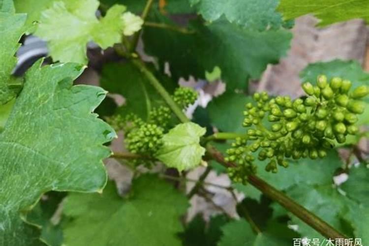 碱性液体有哪些