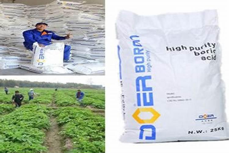 辣椒结果期用什么水溶肥效果好？辣椒膨大期专用叶面肥？