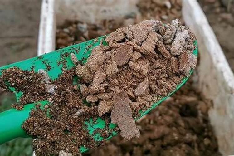 芝麻饼、花生饼之类的怎样做花肥？