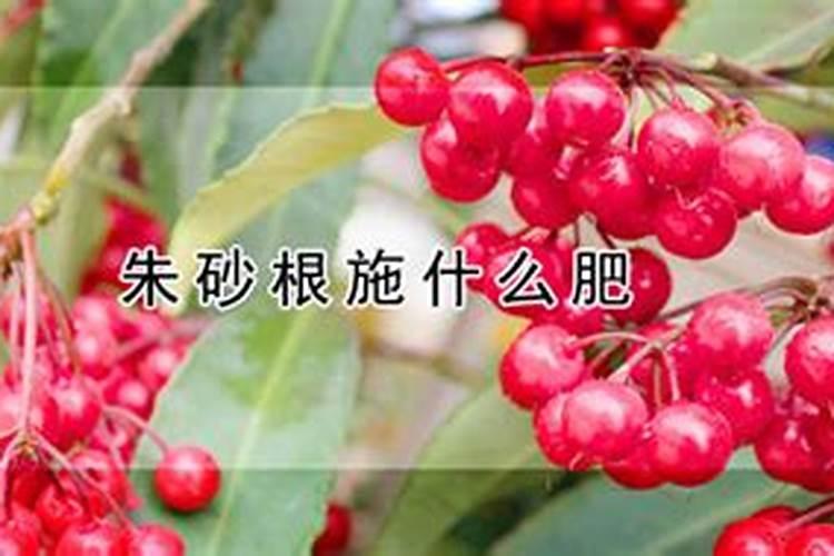 医用硼砂和农用的硼砂是一样的吗