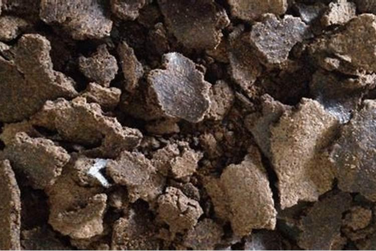 如何沤制和使用芝麻饼肥