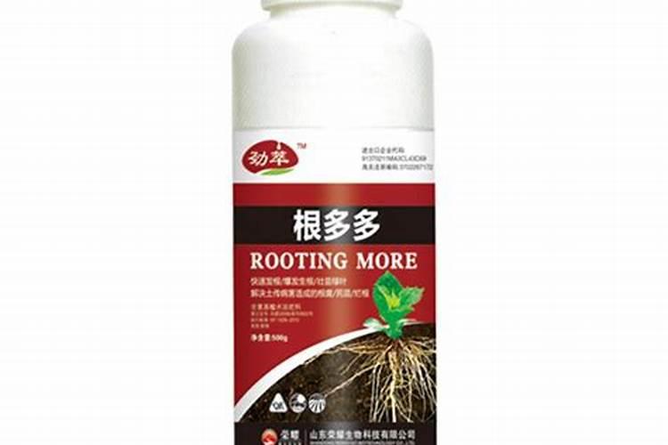 种黄瓜冲什么菌肥好叶片很大很薄