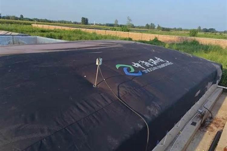 黄腐酸钾生产厂家