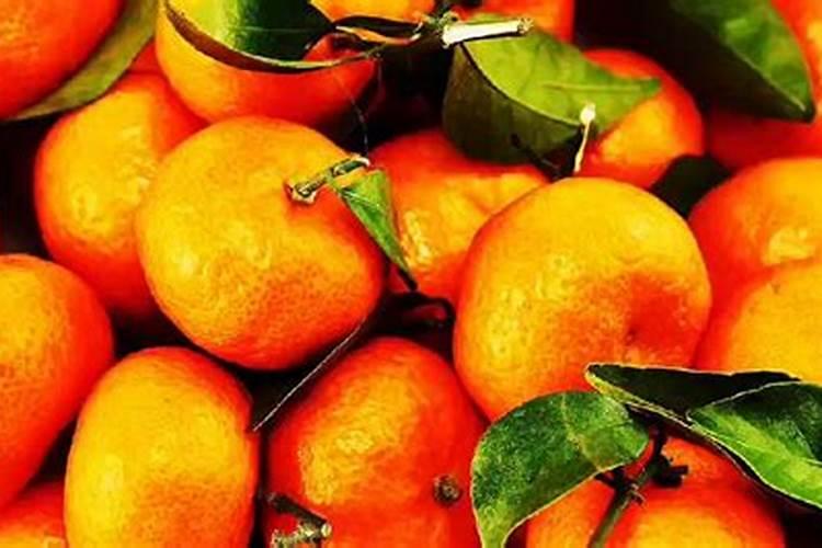 桔子施肥施什么肥最好