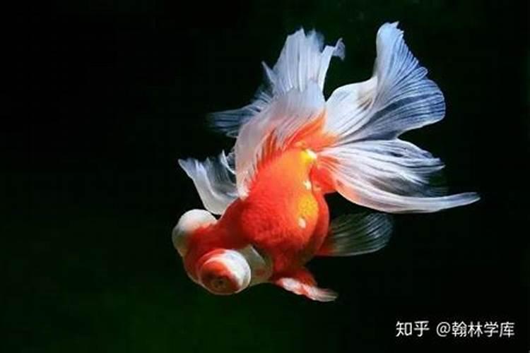 常用的消毒药有哪些？